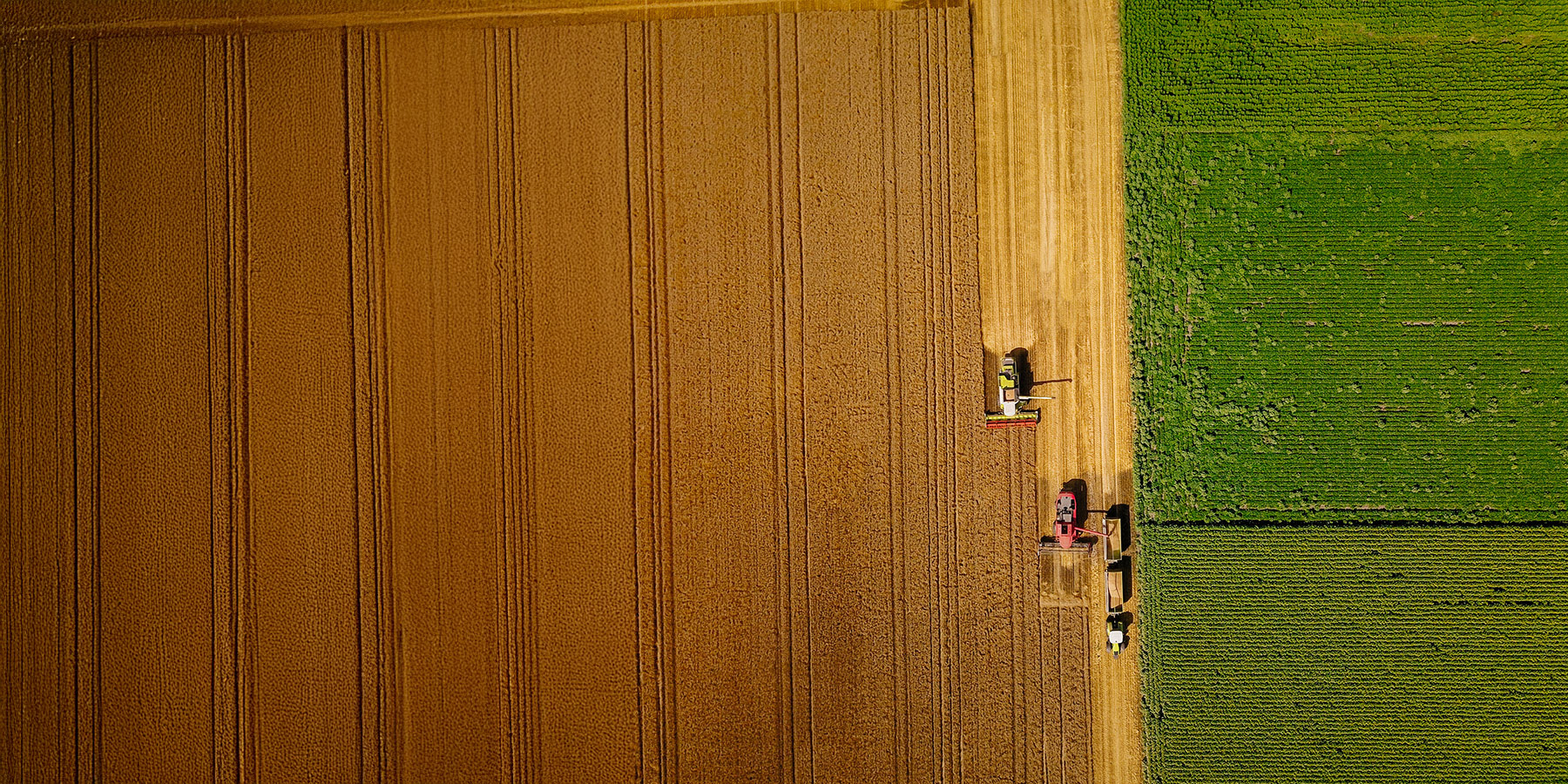 Winst nemen | Counterpoint september 2025