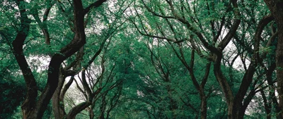 Duurzaamheidsinformatie