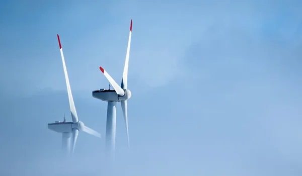 Quintet Windmill Fog