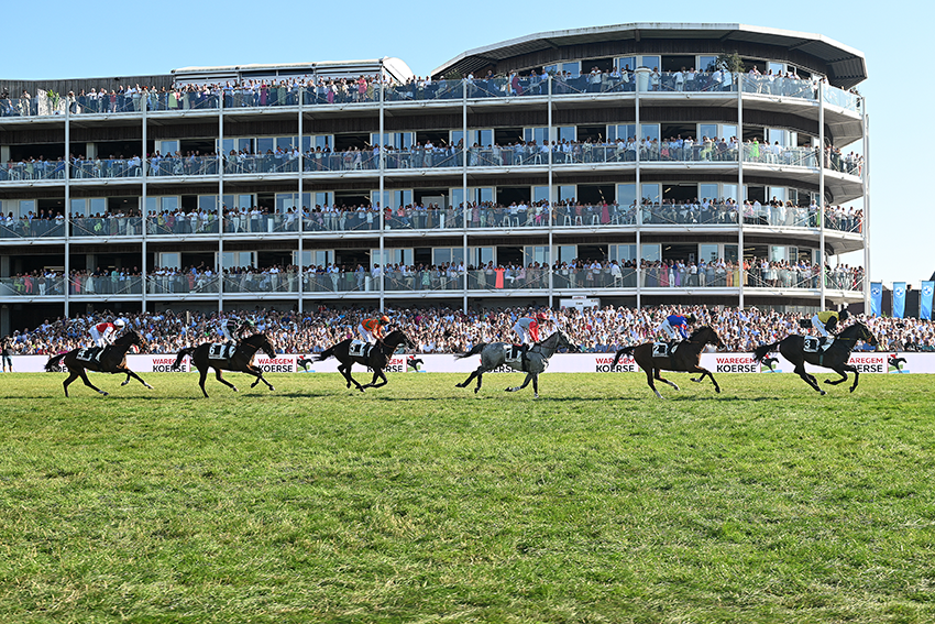 Nos bureaux : Waregem, présenté par Maureen Sablain, Client Advisor