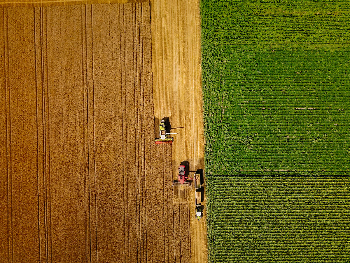 Récolter les bénéfices | Counterpoint  septembre 2025 