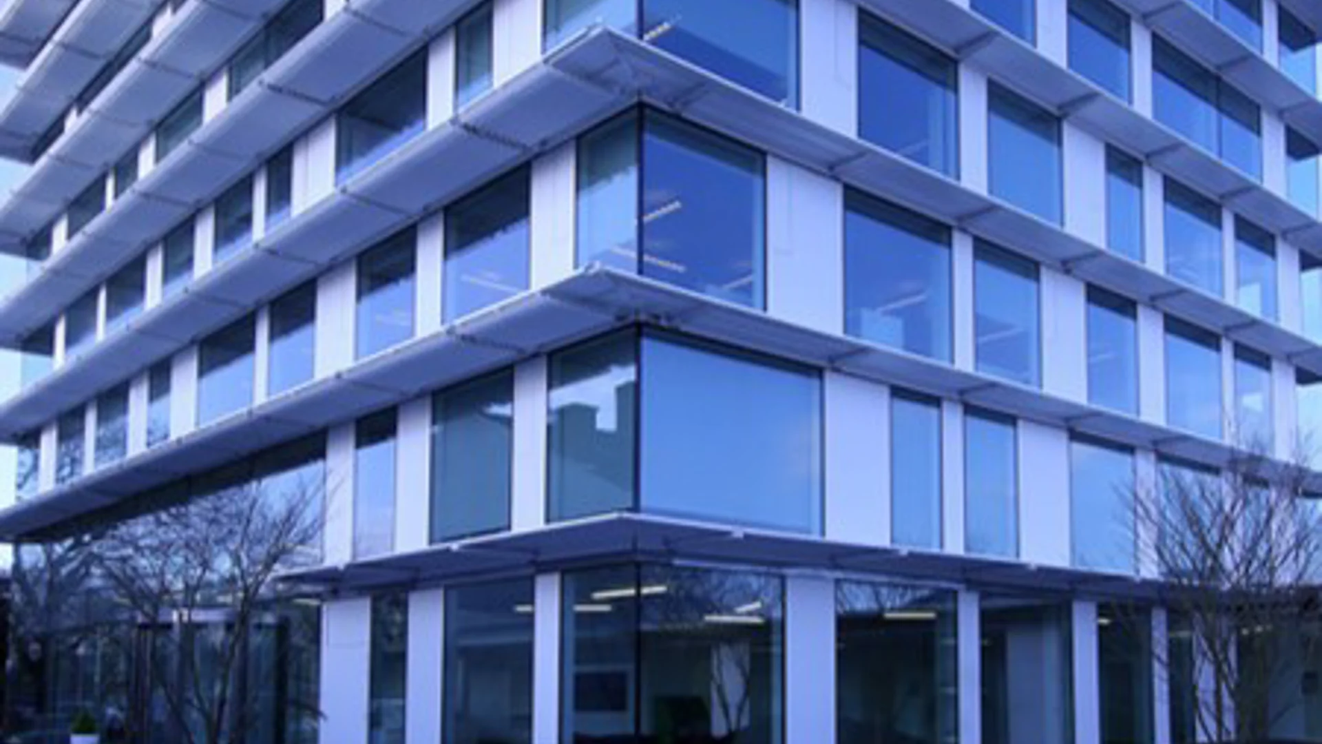 Portret van de maand