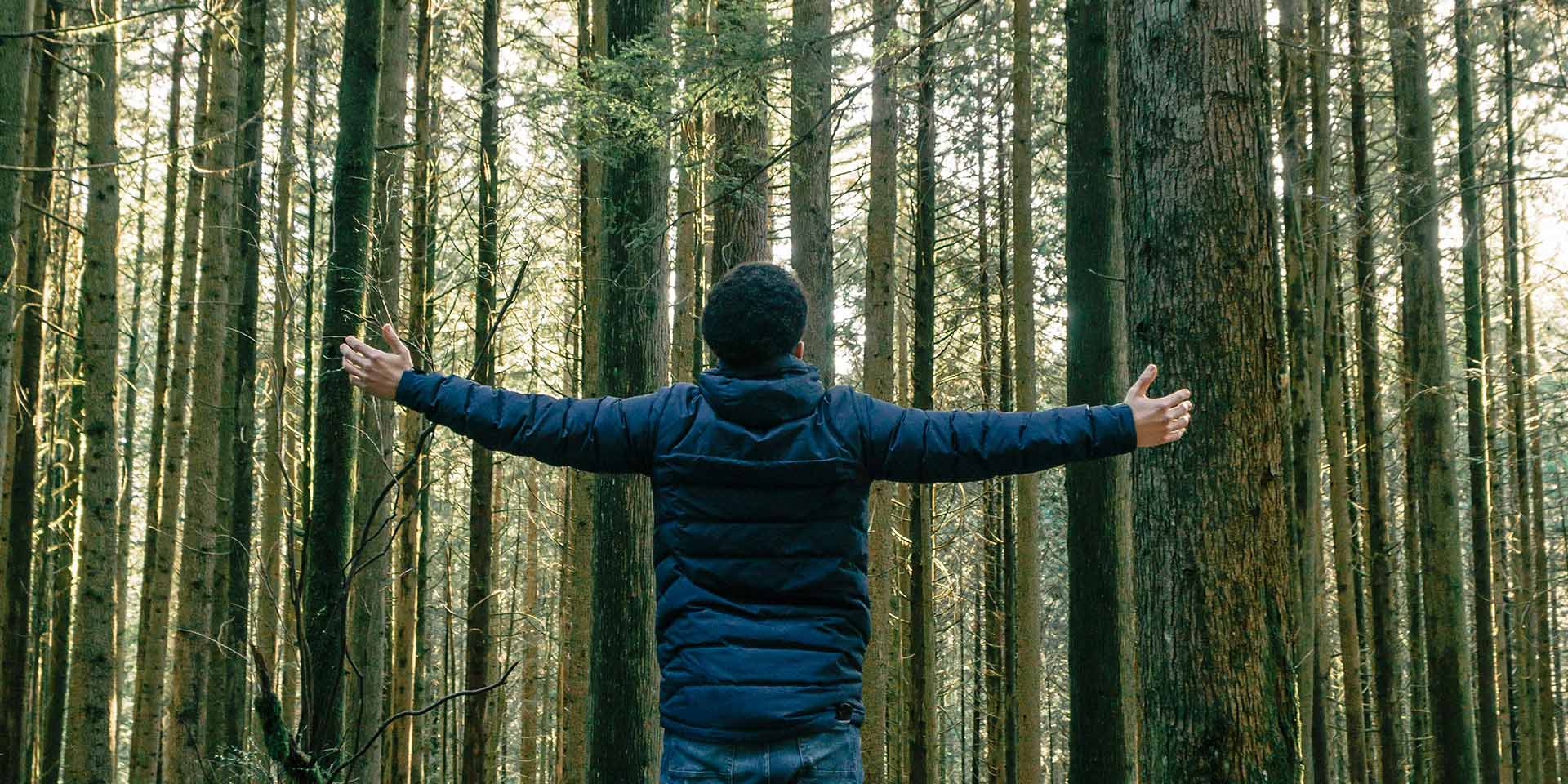 Etendre ses horizons financiers : l'importance de la diversification de portefeuille