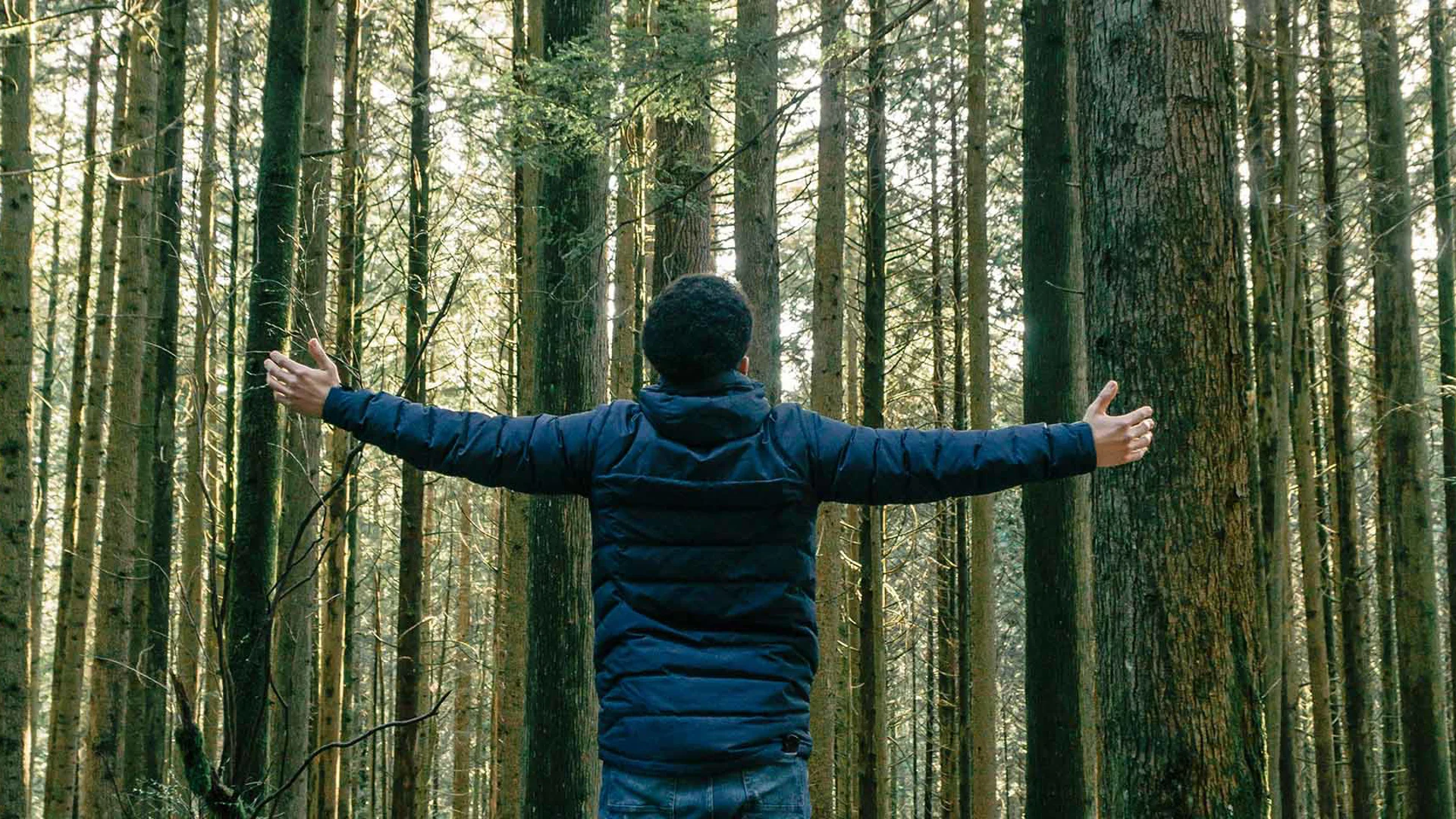 Uw financiële horizon verbreden: het belang van portefeuillediversificatie