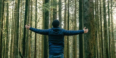 Etendre ses horizons financiers: l'importance de la diversification de portefeuille