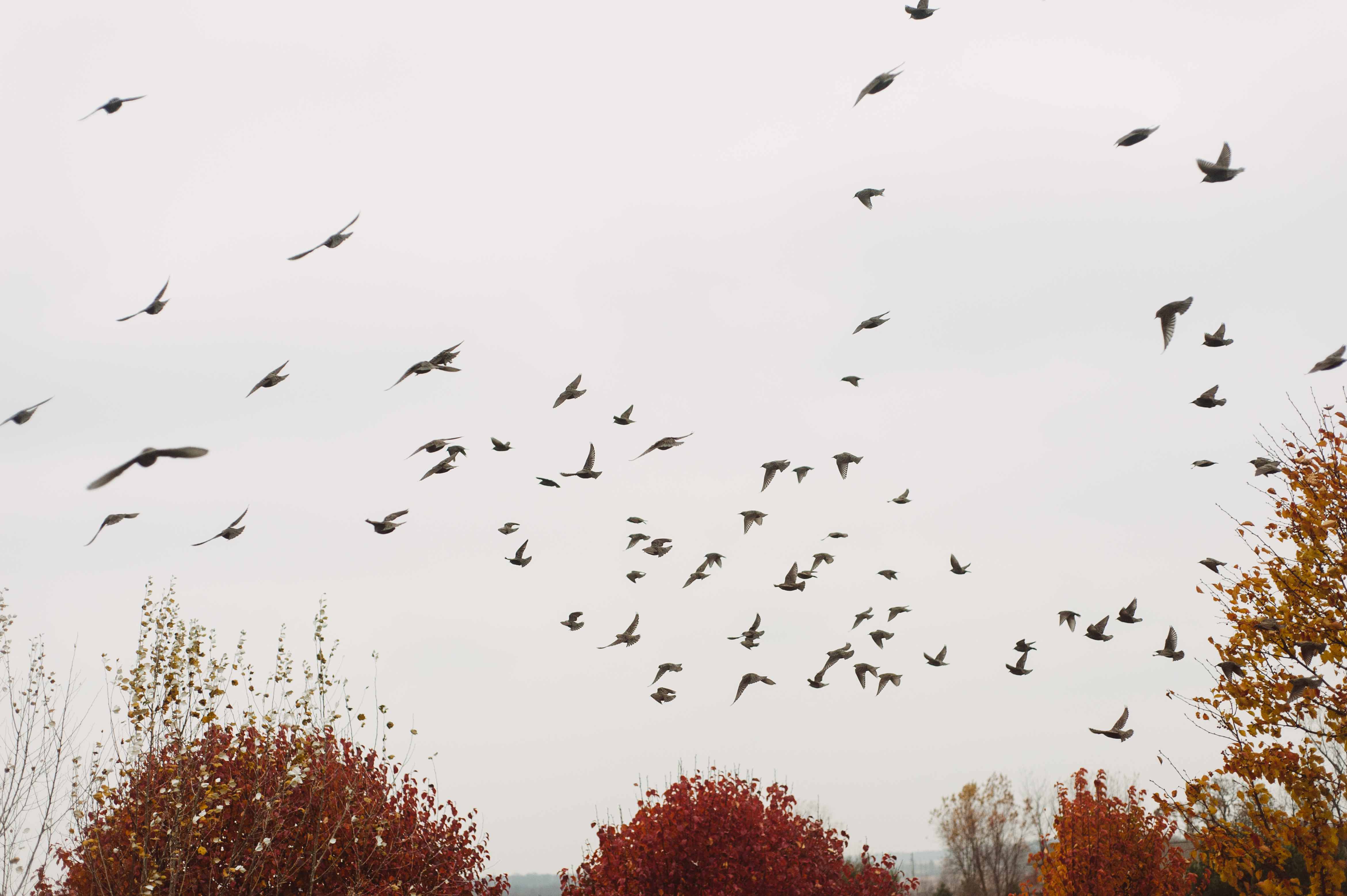 Les pactes successoraux :