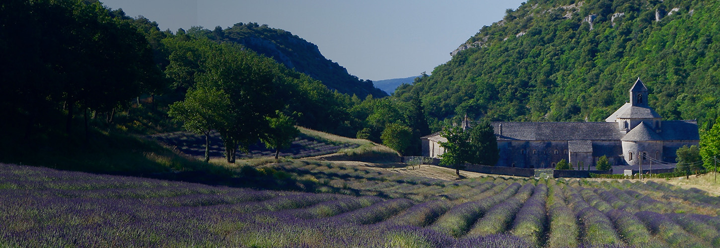 Le régime fiscal de la location immobilière en France