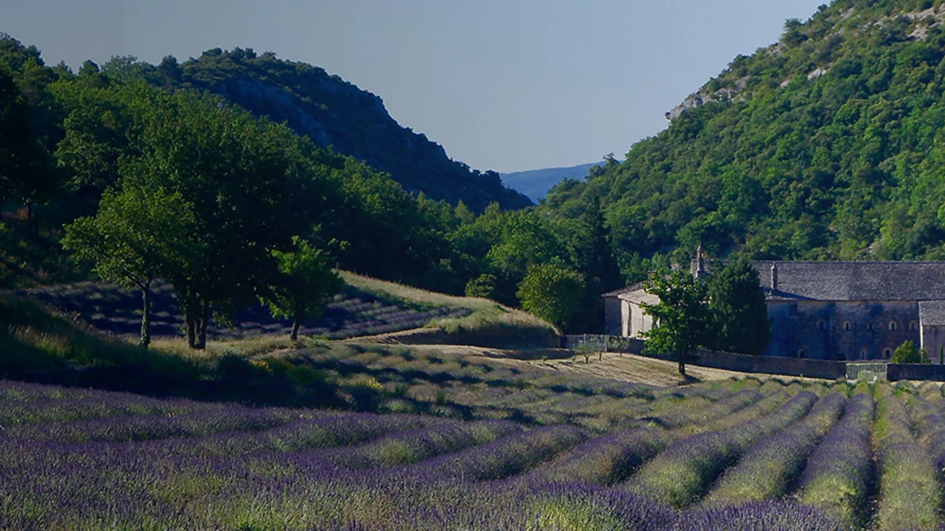 Le régime fiscal de la location immobilière en France