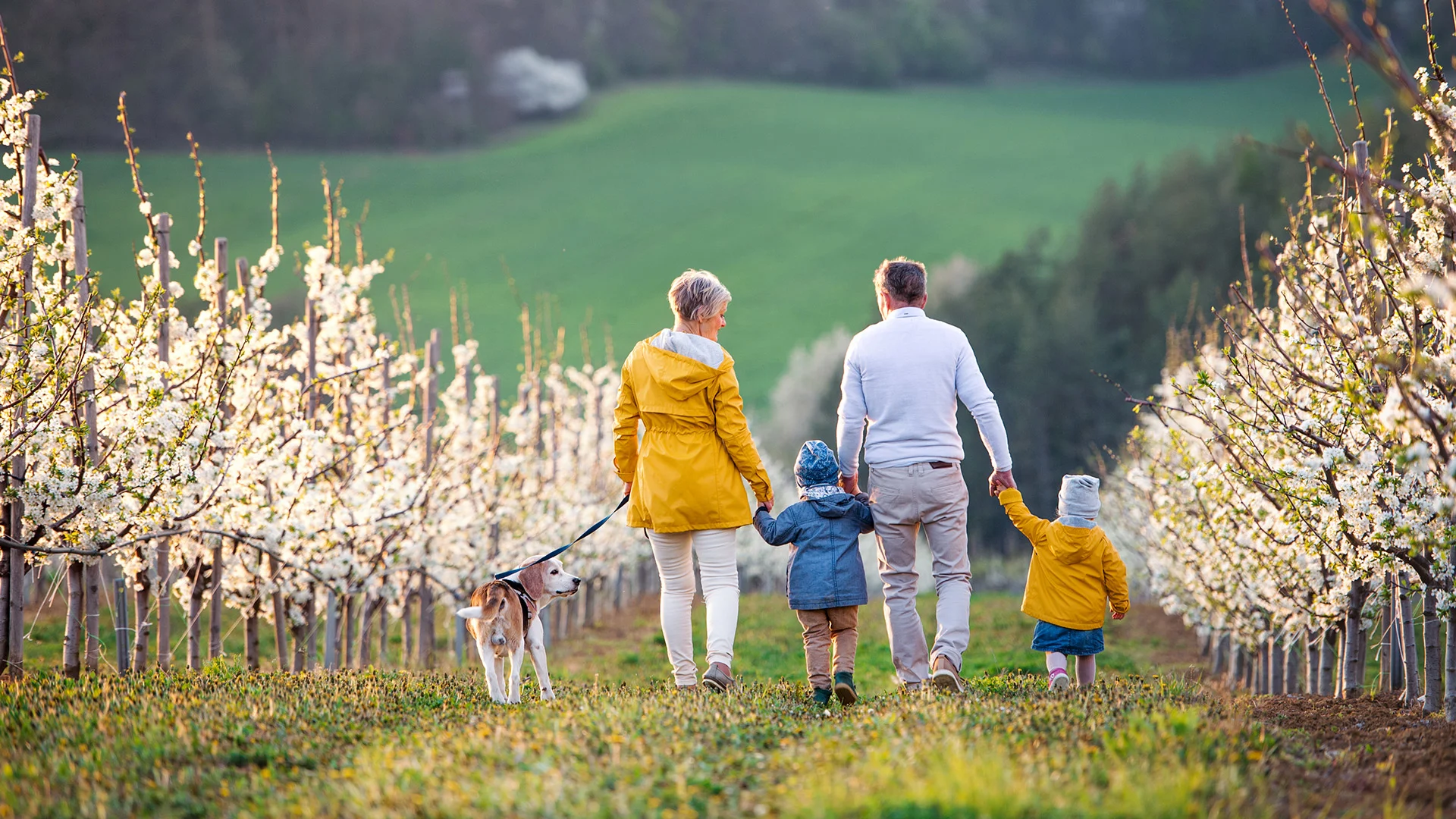 De opmars van generationele rijkdom: nieuwe mogelijkheden ontsluiten