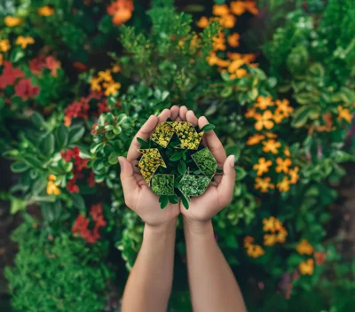 Économie circulaire